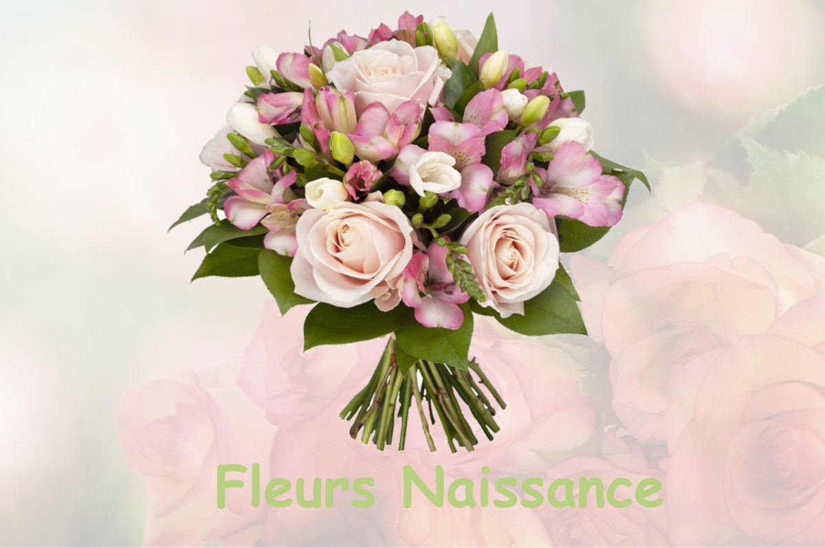 fleurs naissance MARVILLE