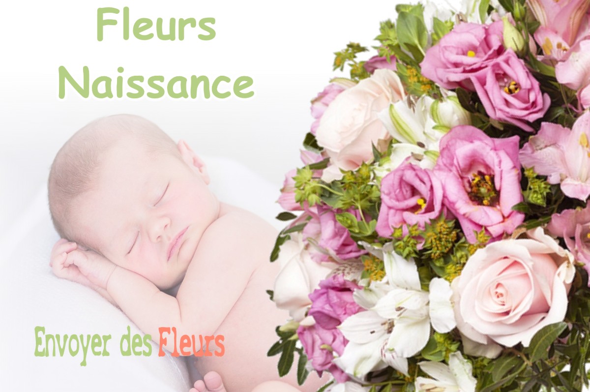 lIVRAISON FLEURS NAISSANCE à MARVILLE